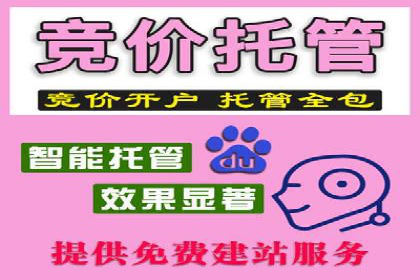 深度解析：sem推广竞价托管的五大成功实例